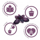 Набор для выращивания растений Тысяча листьев Базилик фиолетовый
