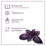 Набор для выращивания растений Тысяча листьев Базилик фиолетовый