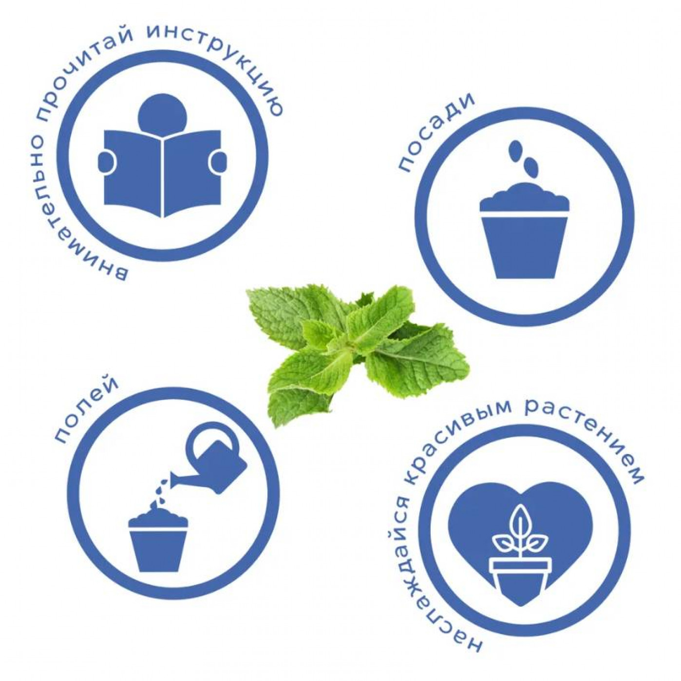 Набор для выращивания растений Тысяча листьев Мята яблочная