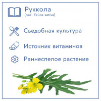 Набор для выращивания растений Тысяча листьев Руккола-2