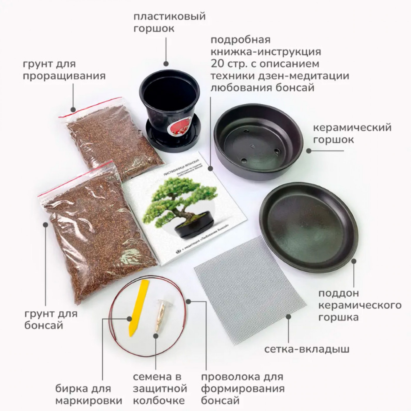 Большой набор для выращивания бонсай Лиственница японская купить в ...