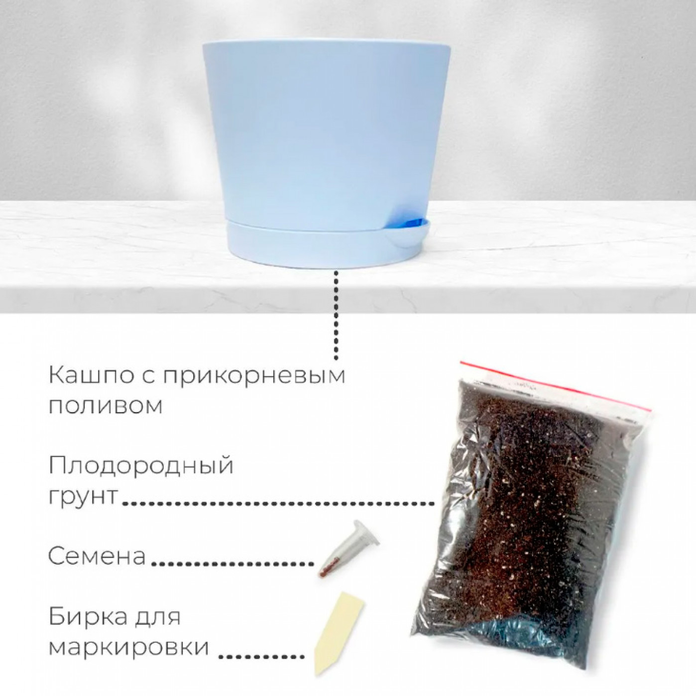 Набор для выращивания Серебристая елка Набор для выращивания Серебристая елка