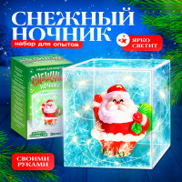 Набор для опытов Снежный ночник Дед Мороз Набор для опытов Снежный ночник Дед Мороз