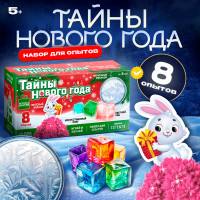 Набор для опытов Тайны Нового года Набор для опытов Тайны Нового года