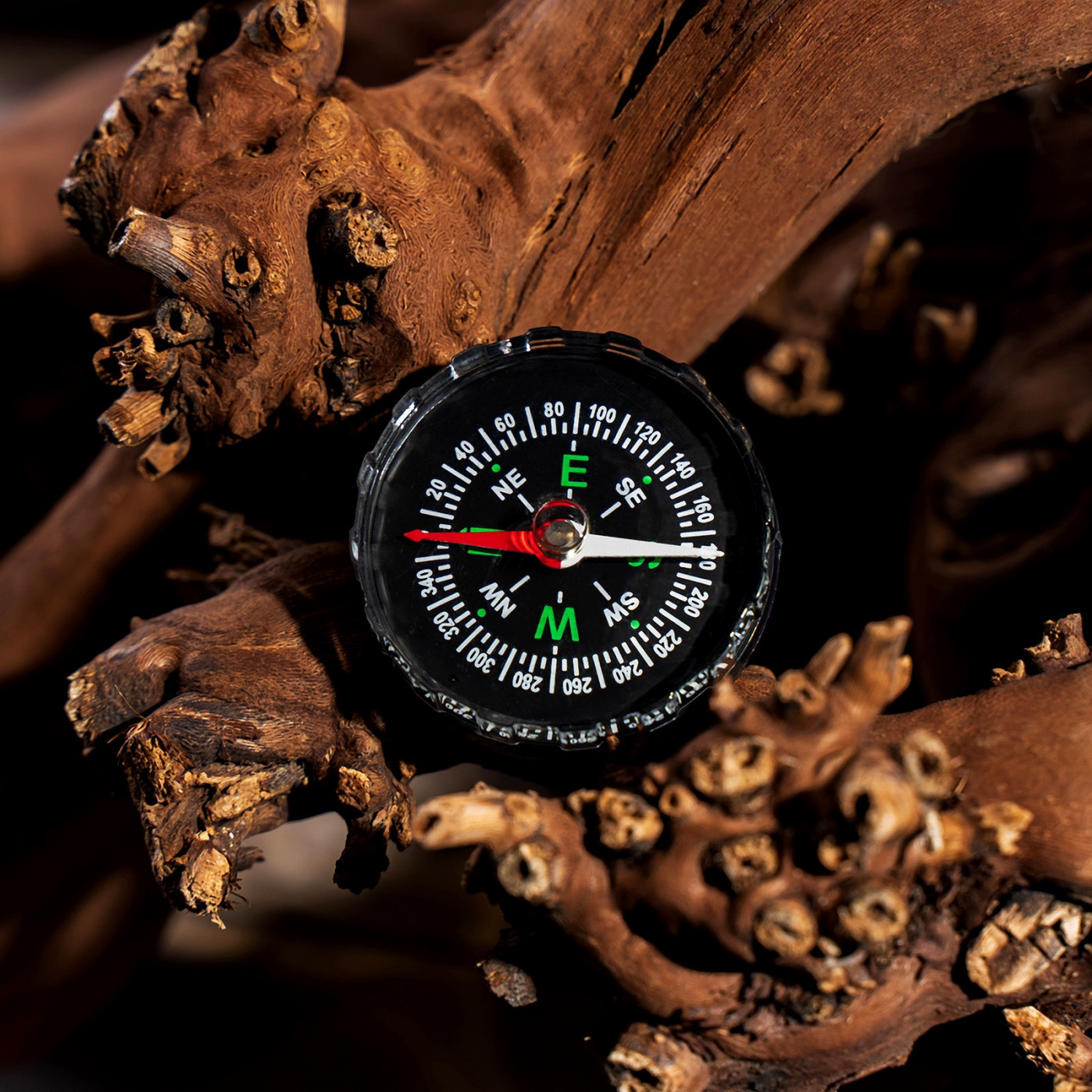 Компас жидкостный