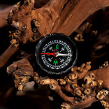 Компас жидкостный