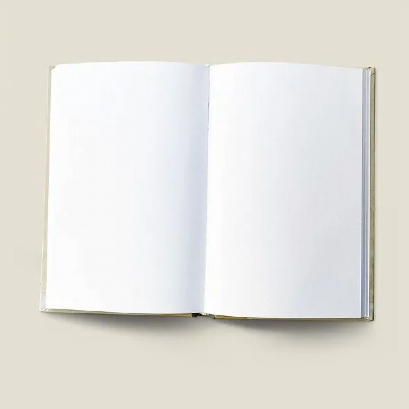 Записная книжка Песец подкрался незаметно