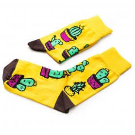 Носки Оранжерея-2