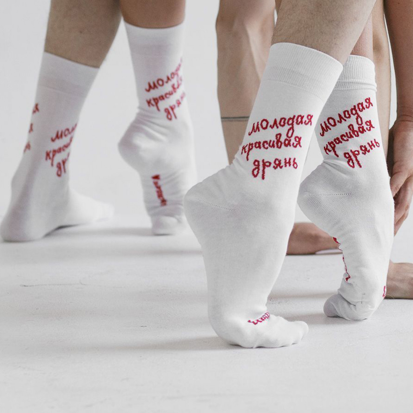 Носки Молодая красивая дрянь