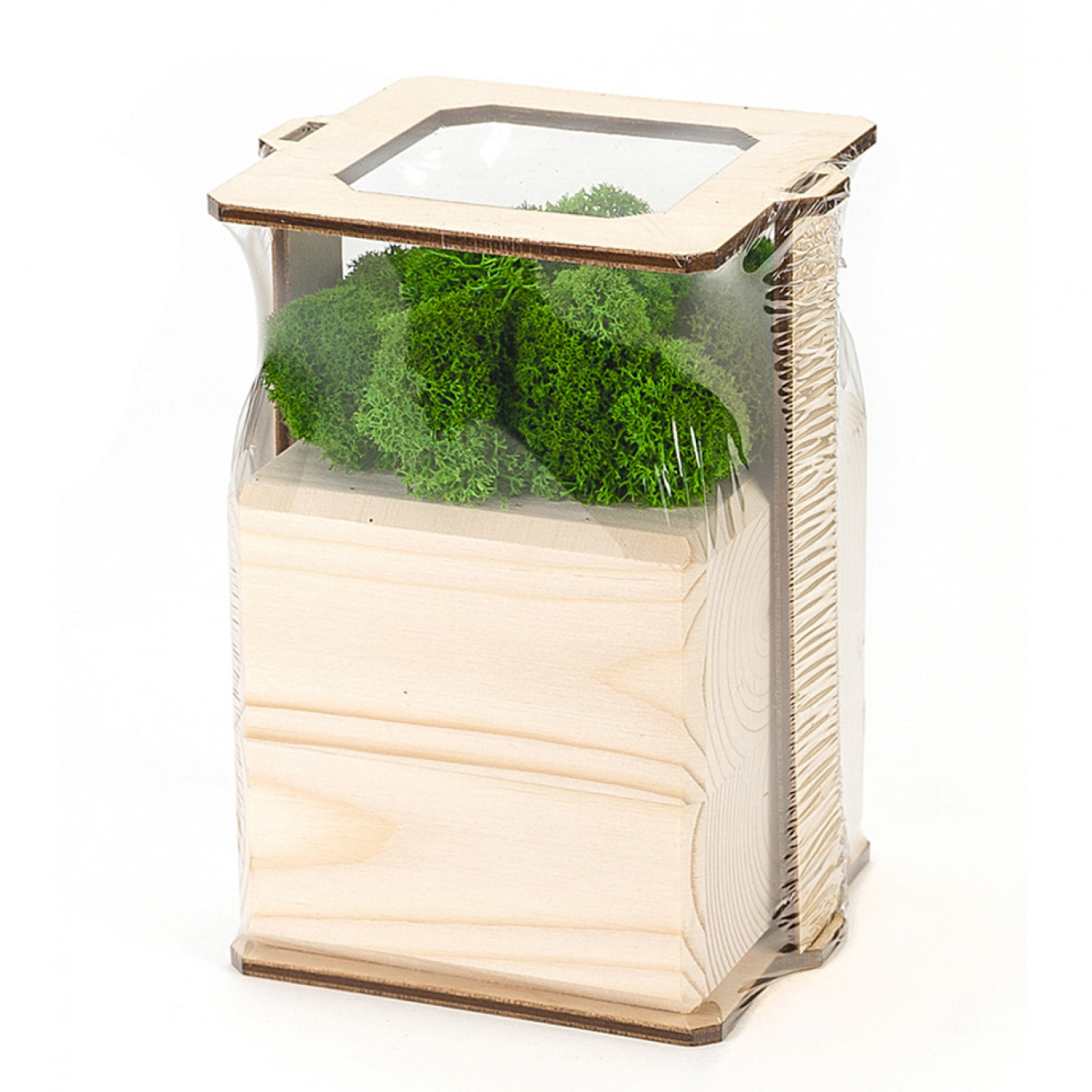 Интерьерный мох MossCube Дерево Зеленый