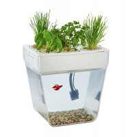 Акваферма AquaFarm