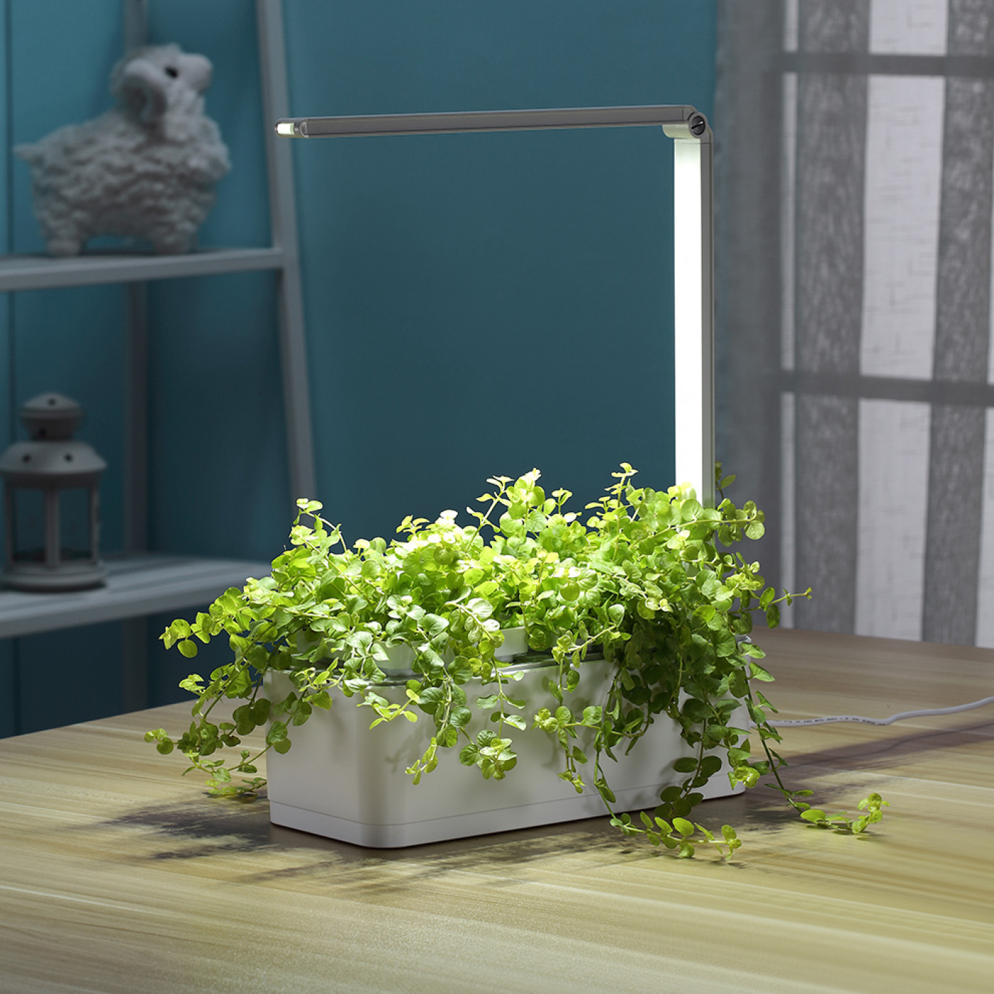 Смарт-сад с подсветкой iGarden LED купить в интернет-магазине, подарки ...