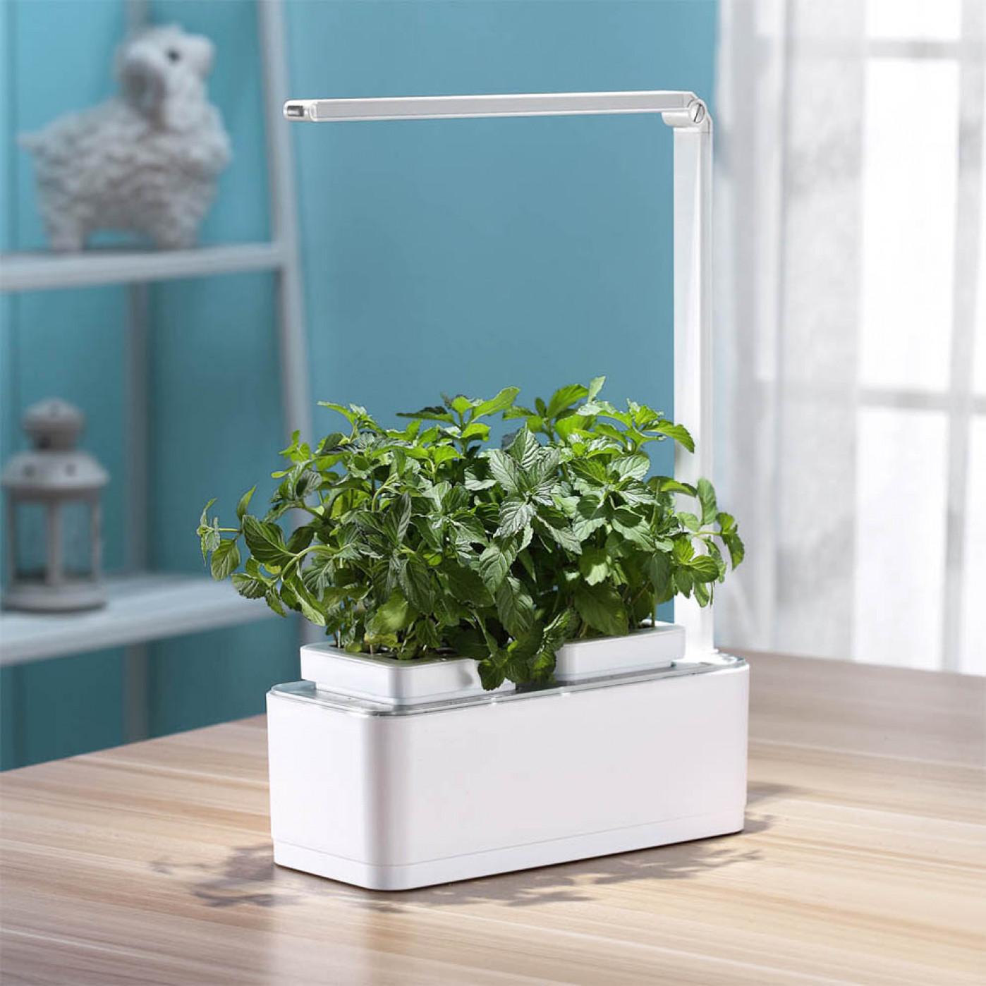 Смарт-сад с подсветкой iGarden LED