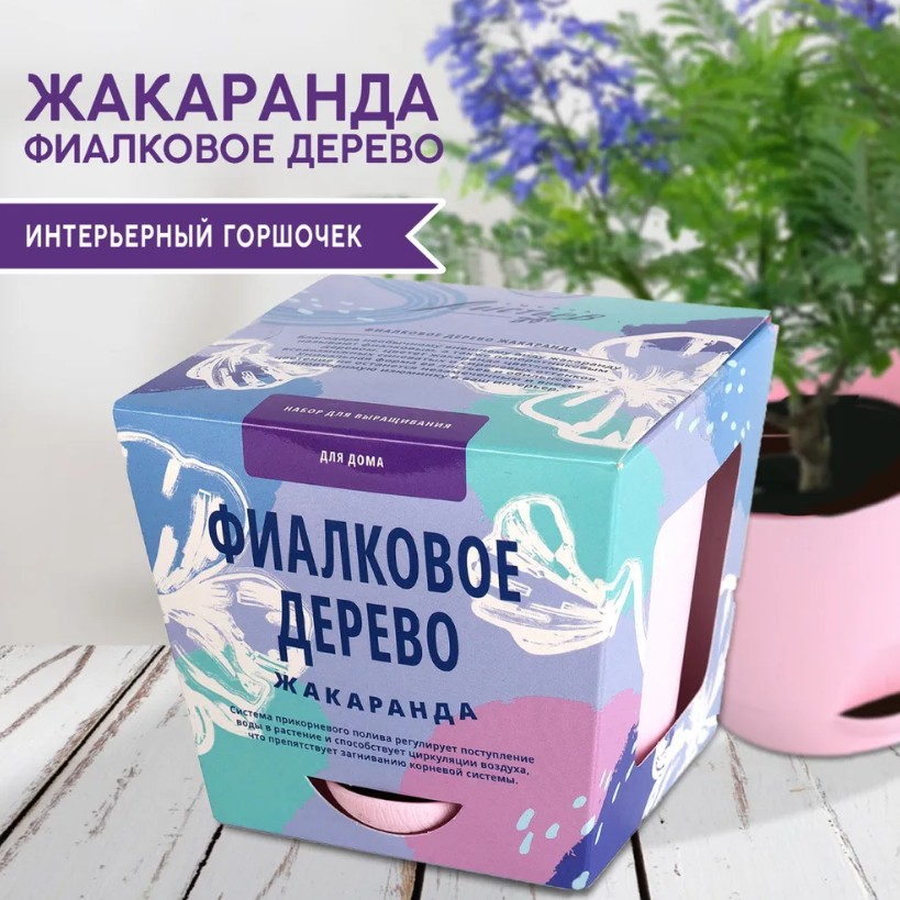Набор для выращивания растений Тысяча листьев Фиалковое дерево купить в ...